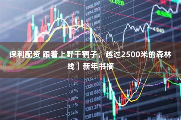保利配资 跟着上野千鹤子，越过2500米的森林线｜新年书摘