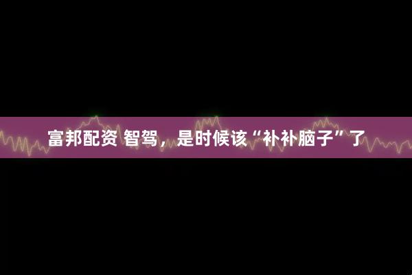 富邦配资 智驾，是时候该“补补脑子”了