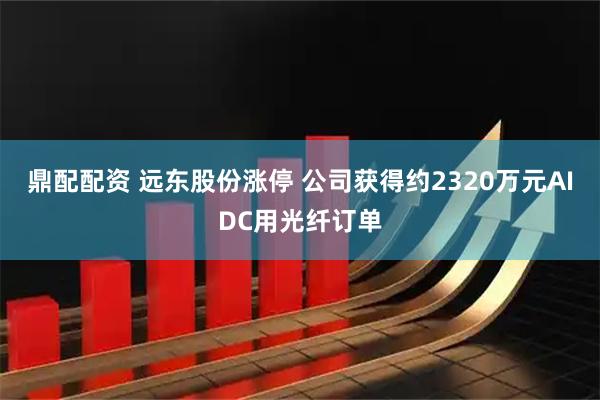 鼎配配资 远东股份涨停 公司获得约2320万元AIDC用光纤订单