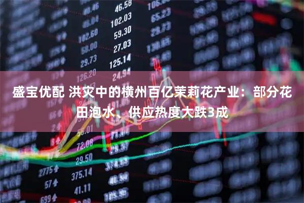 盛宝优配 洪灾中的横州百亿茉莉花产业:部分花田泡水、供应热度大跌3成