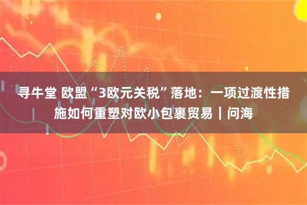 寻牛堂 欧盟“3欧元关税”落地：一项过渡性措施如何重塑对欧小包裹贸易｜问海