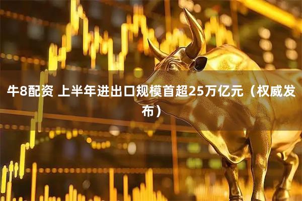 牛8配资 上半年进出口规模首超25万亿元（权威发布）