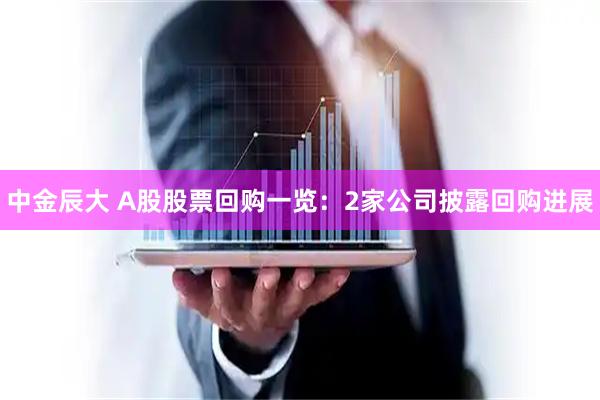 中金辰大 A股股票回购一览：2家公司披露回购进展