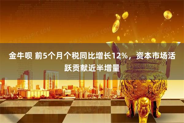 金牛呗 前5个月个税同比增长12%，资本市场活跃贡献近半增量