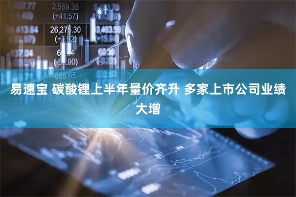 易速宝 碳酸锂上半年量价齐升 多家上市公司业绩大增